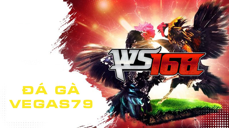 đá gà vegas79 - ws168