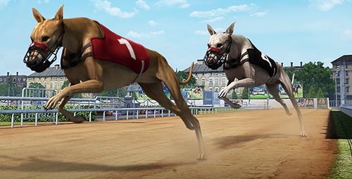 Thể thao ảo greyhound racing